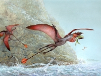 Snacking Dimorphodon